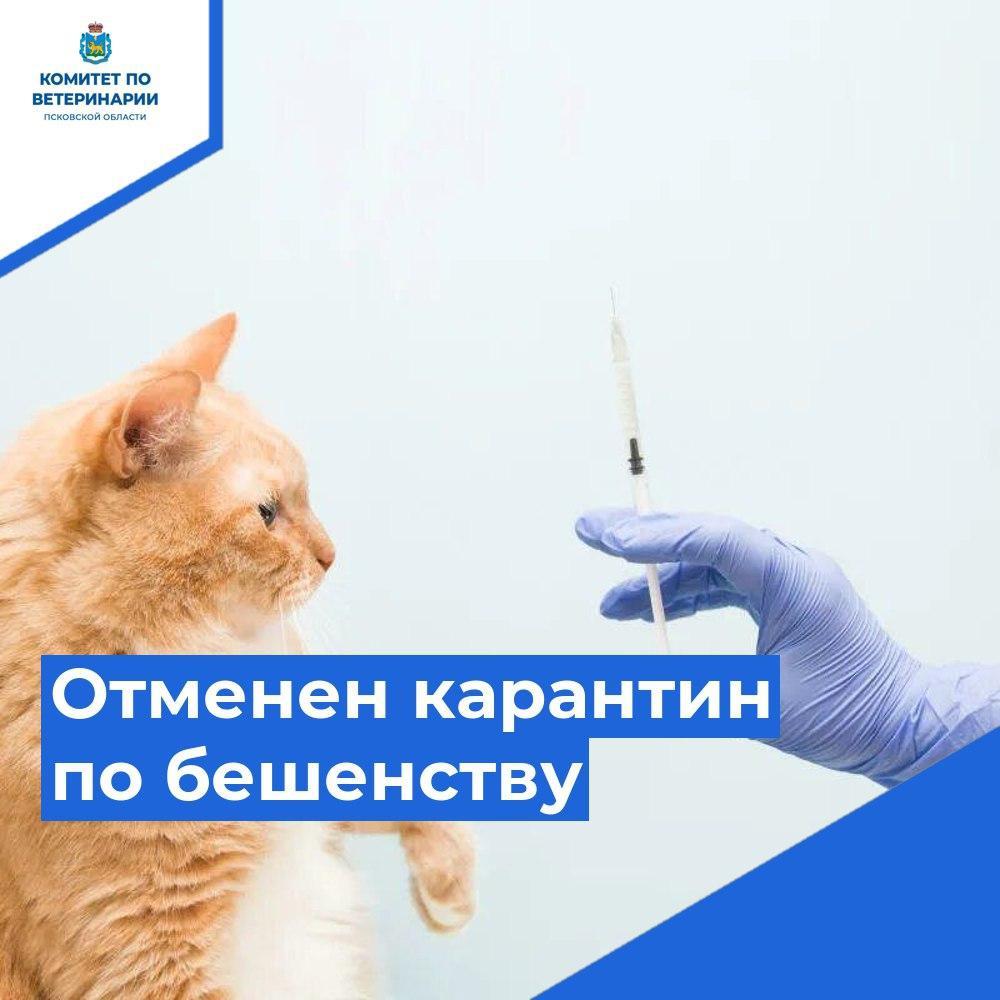 Отмена карантина.