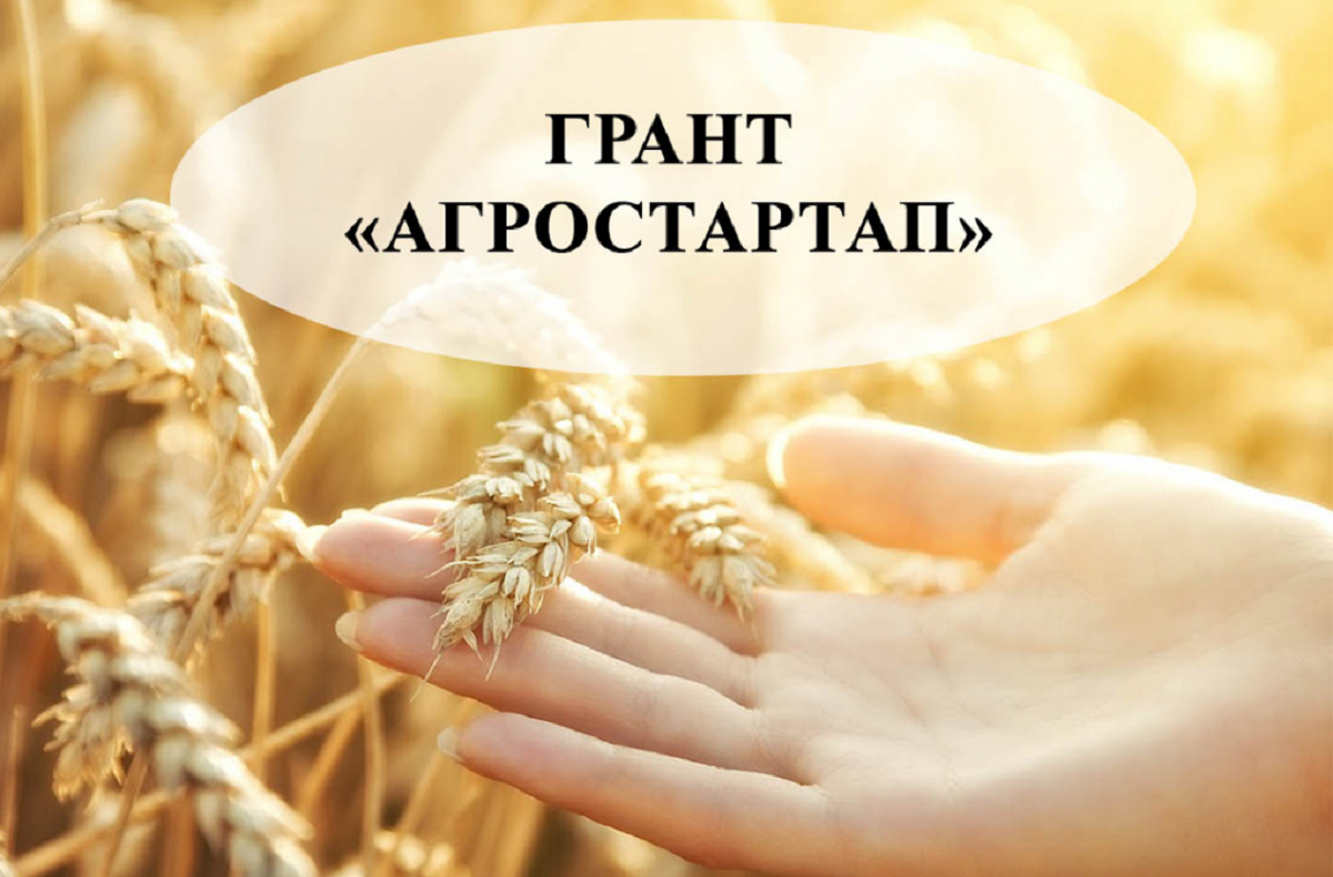 Объявление о начале конкурсных отборов по предоставлению грантов &quot;Агростартап&quot;.