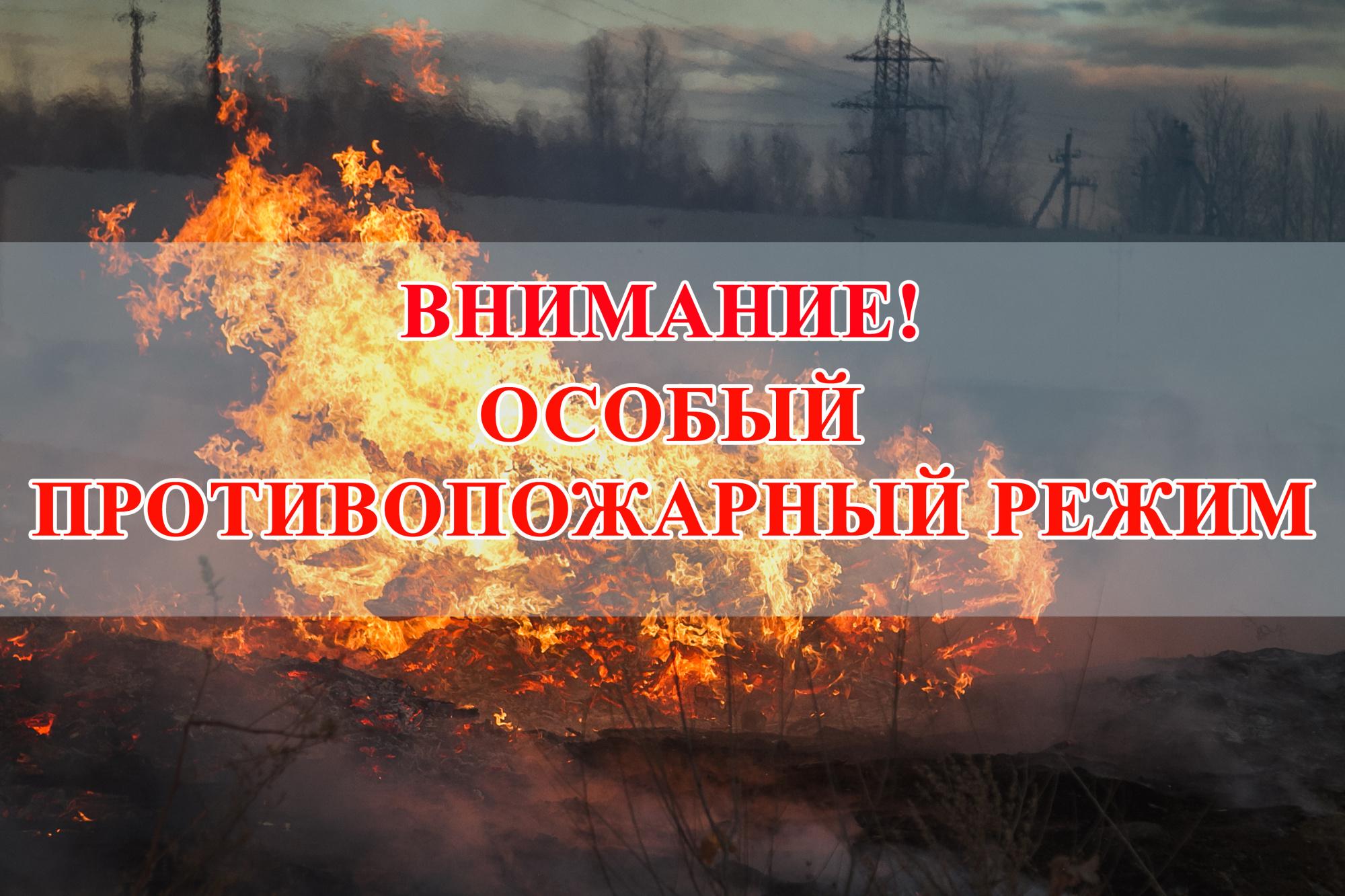 На территории Псковской области введен особый противопожарный режим..