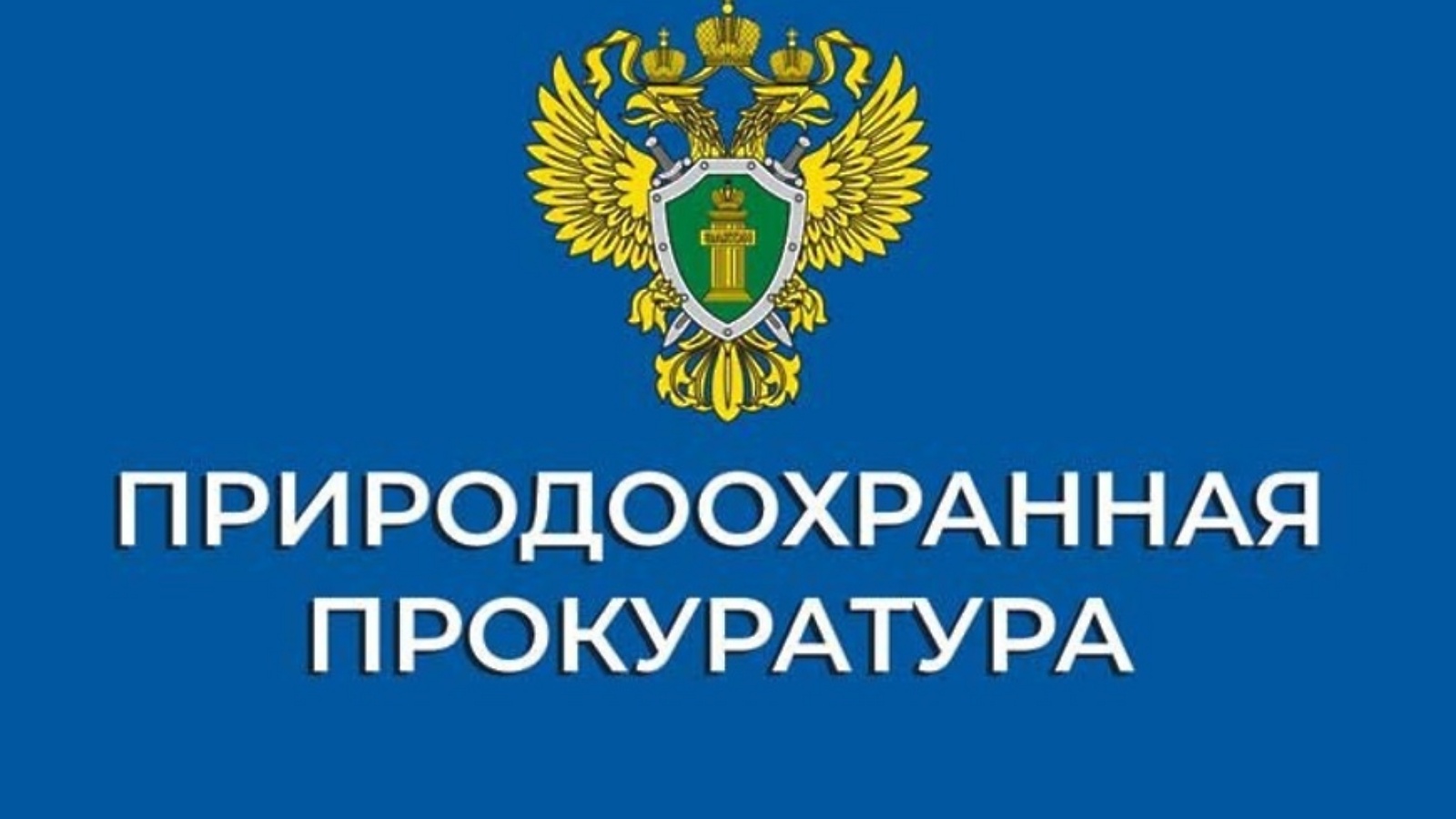 Итоги работы Псковской природоохранной межрайонной прокуратуры в 2023 году.