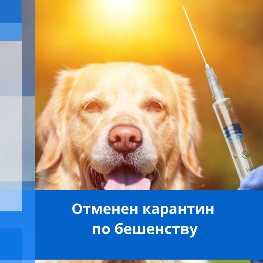 Отмена карантина.