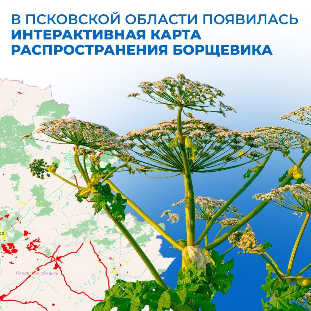 Интерактивная карта.