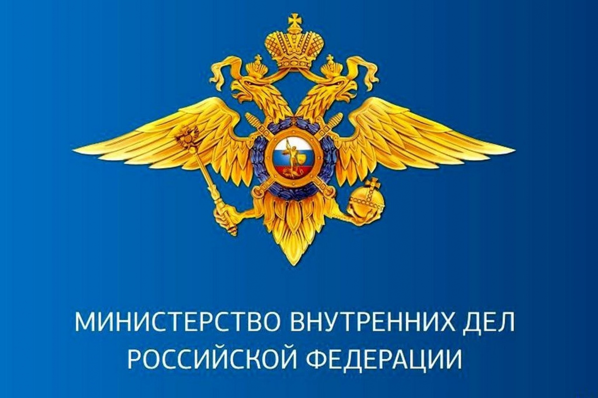 День сотрудника органов внутренних дел Российской Федерации !.