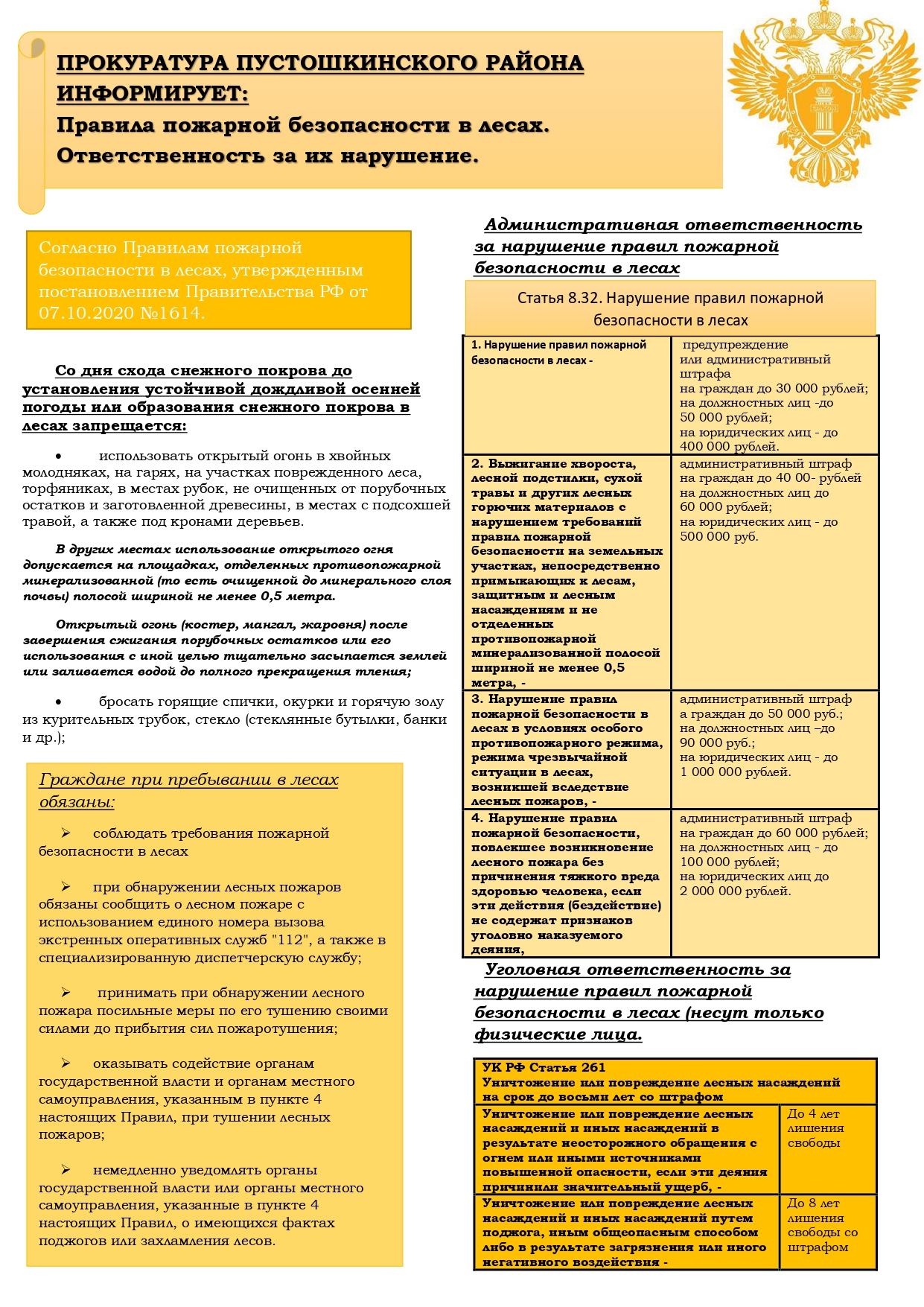 Правила пожарной безопасности в лесах. Ответственность за их нарушение.